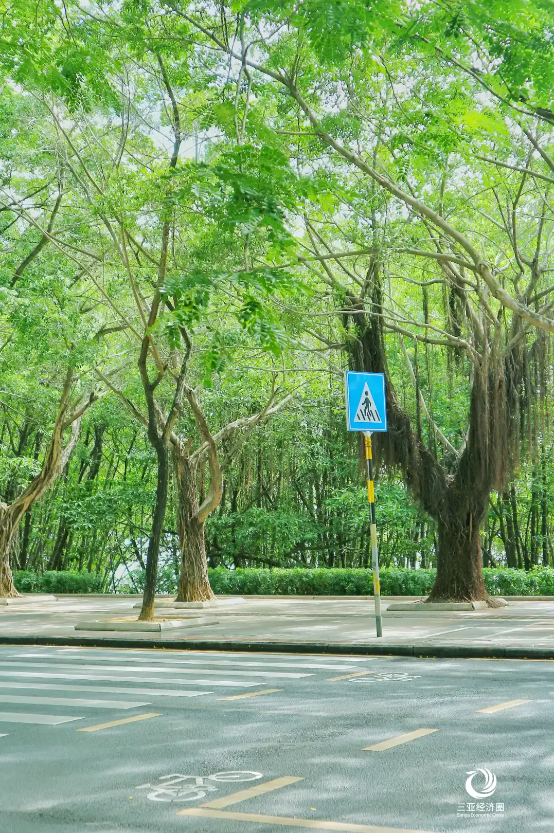 克3-克 3：充满魅力与不完美的独特之地，一场未知的冒险