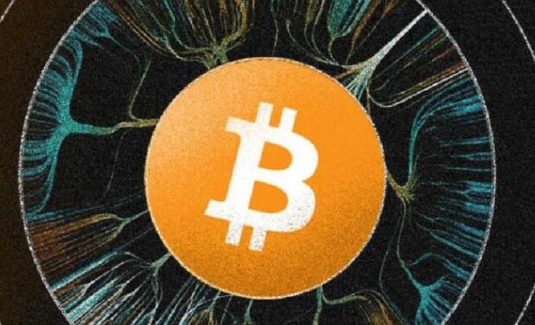 最佳金币奖的熊猫金币是_nft是什么币_最大面值的人民币是