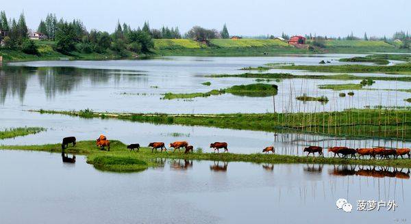兑换码大全蛋仔派对_cdkey兑换码大全_兑换码大全2021