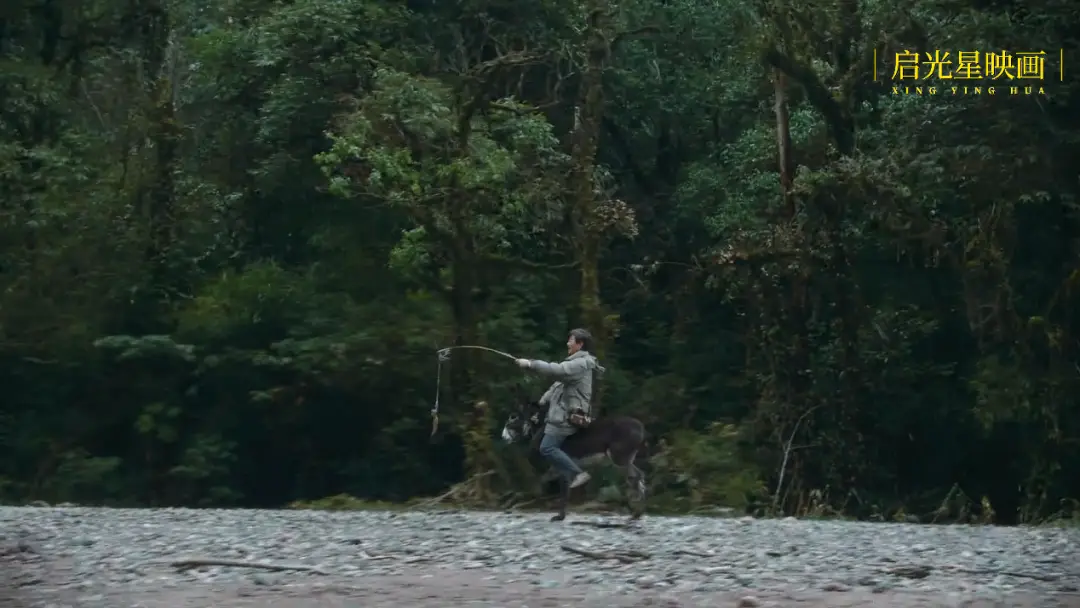 探寻神秘哀愁的鹫尾：灵魂栖息地与情感寄托的完美融合