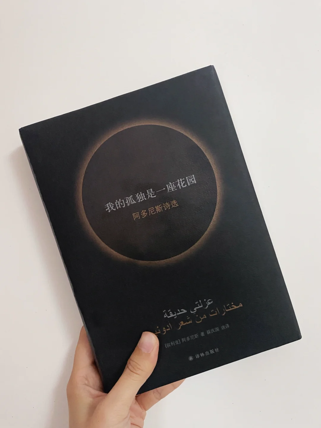 比企谷：校园里那个孤独而独特的存在，他的世界你懂吗？