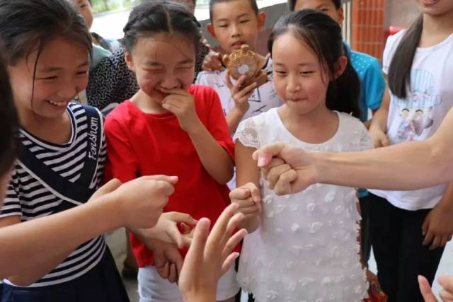 多莉羊克隆过程_多莉_多莉克隆羊