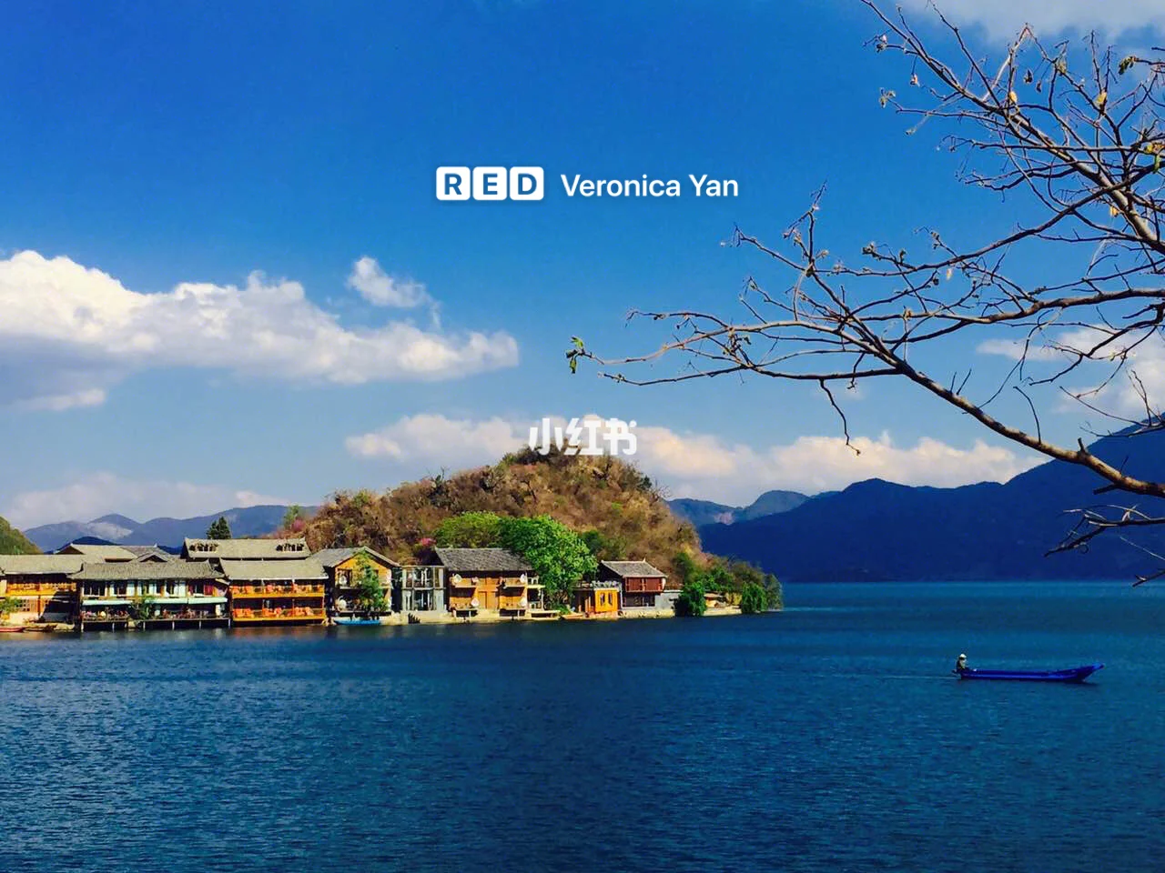 阿哥玩手机游戏_阿哥玩手机游戏图片_阿哥玩手机游戏视频