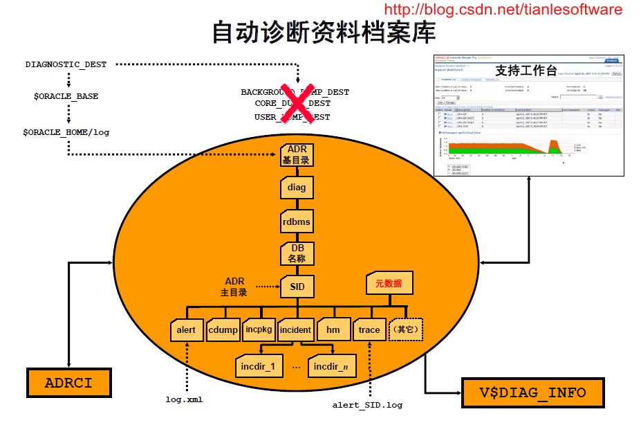 查看版本号的命令_查看oracle版本_查看版本号linux