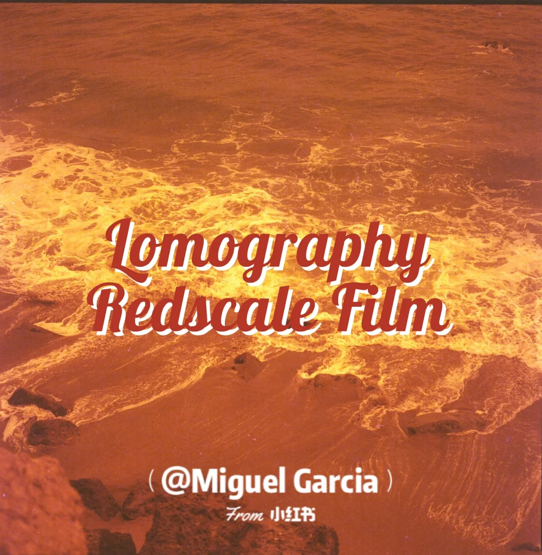 手机游戏机推荐排名_手机游戏捕鱼_scale手机游戏