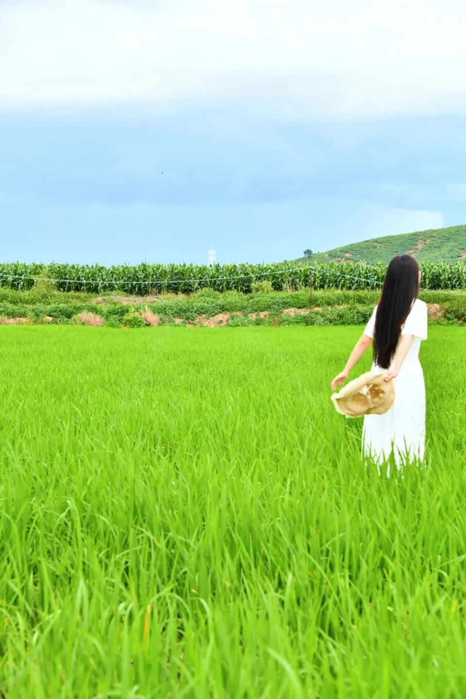 插卡游戏在手机上玩-手机插卡游戏：方便、有趣、能与朋友一起玩