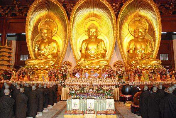 吃掉你的胰脏经典台词_吃掉你的胰脏高清壁纸_我想吃掉你的胰脏电影免费观看