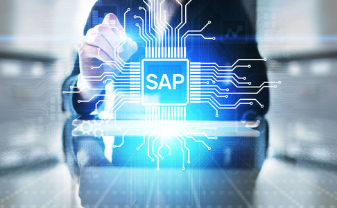 sap游戏下载手机-SAP 游戏下载手机：从兴奋到失落再到惊