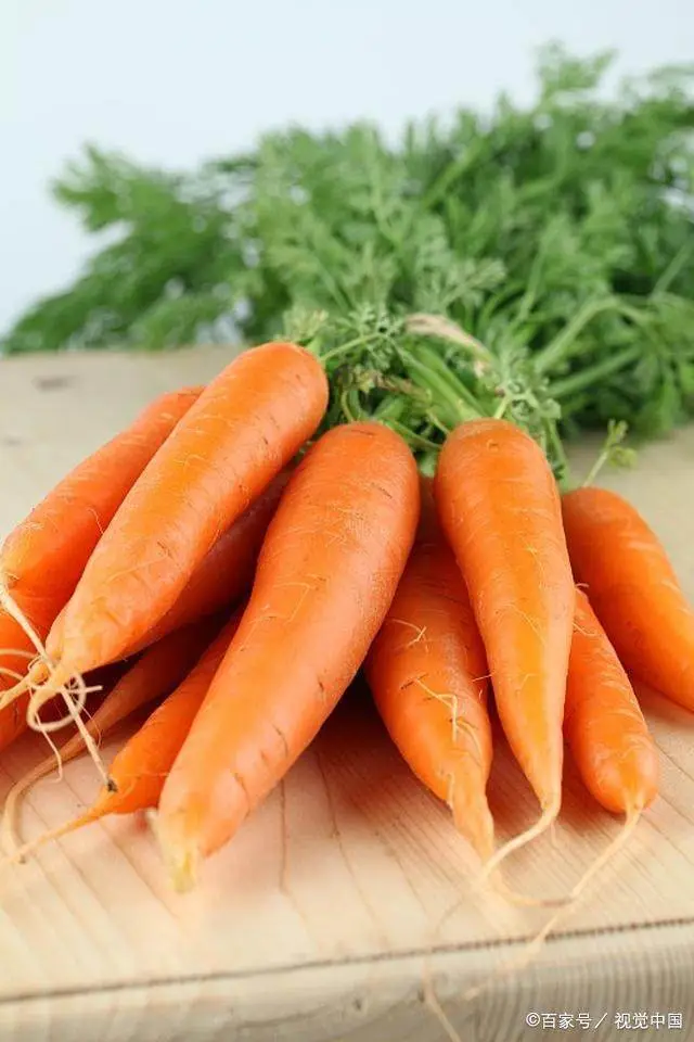 沉溺手机游戏图片_沉溺水中的图片_沉溺头像