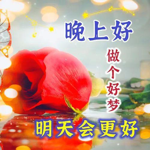 伽罗：深藏心底的渴望，夜空下的情感寄托与魔力