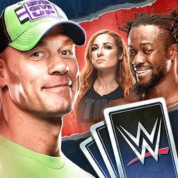 单机游戏wwe手机版-WWE 手机版：随时随地挥洒热血，体验