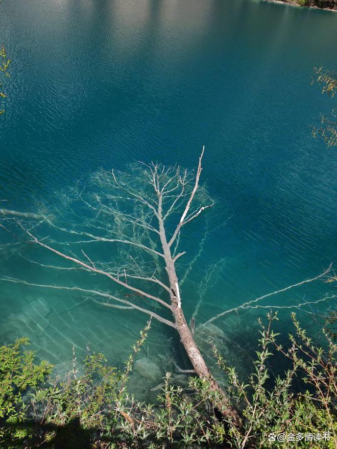 搞笑恐怖小游戏_游戏搞笑恐怖推荐手机软件_搞笑恐怖游戏推荐手机游戏