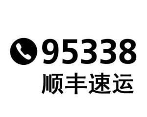 95338,l顺丰快递单号查询