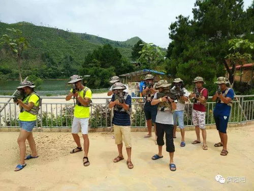 塘谷游戏,探索奇幻世界的冒险之旅