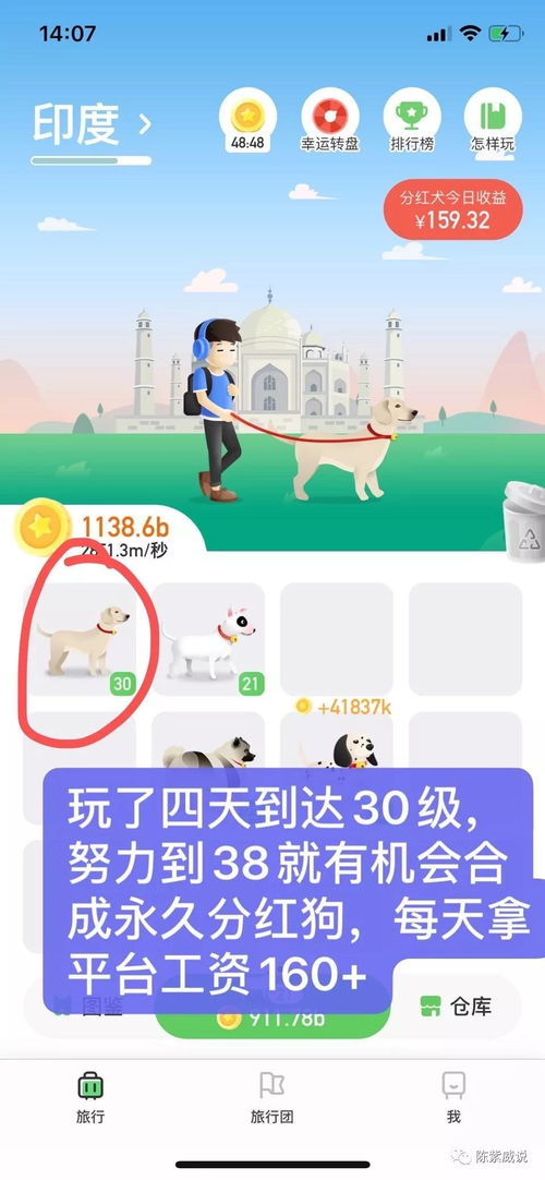 游戏遛狗赚钱