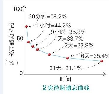 单词引入游戏,解锁游戏世界的奥秘