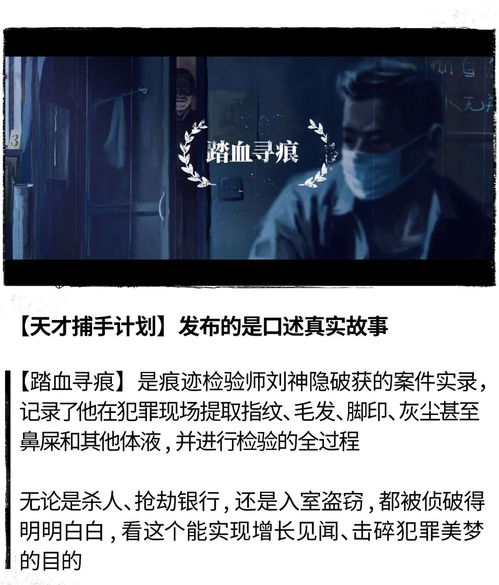 教授先生游戏,探索未知世界的奥秘