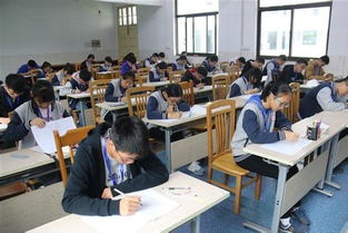 责任班会游戏,培养团队协作与责任感的趣味实践