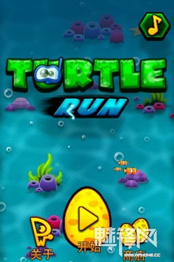 点乌龟游戏,一场智慧与耐心的竞技之旅