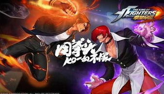 游戏什么薇,揭秘“什么薇”的奇幻旅程