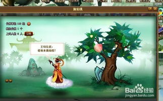 打仙桃游戏,探寻打仙桃游戏的奇幻之旅