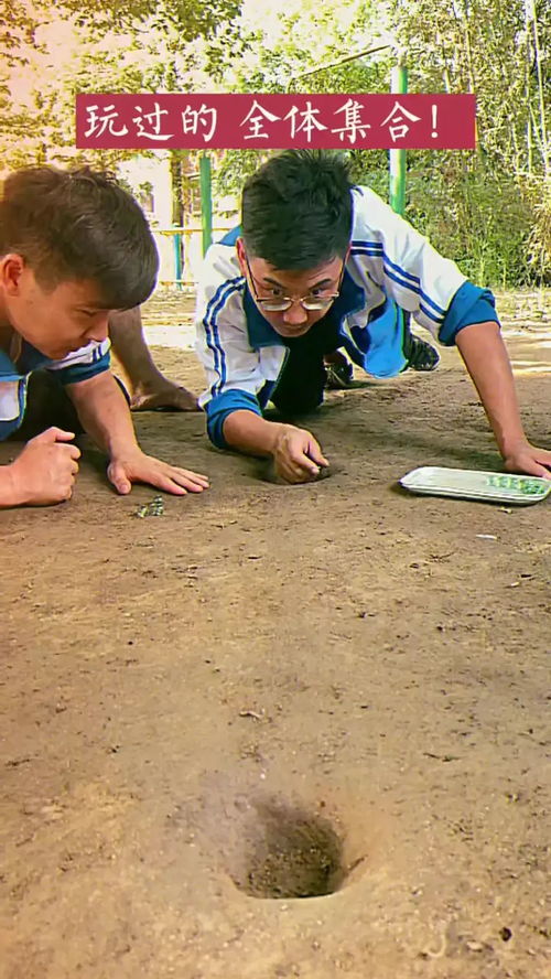 弹子儿游戏,指尖上的竞技盛宴