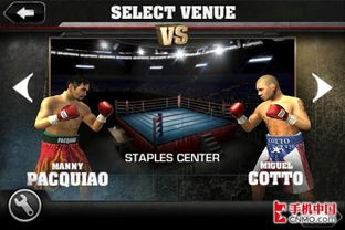 新拳击游戏,新拳击游戏巅峰对决