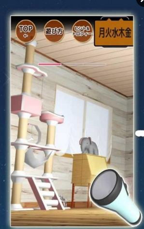 幼猫游戏,探索猫咪成长乐趣的奇妙之旅